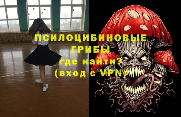 гидропоника Зеленодольск